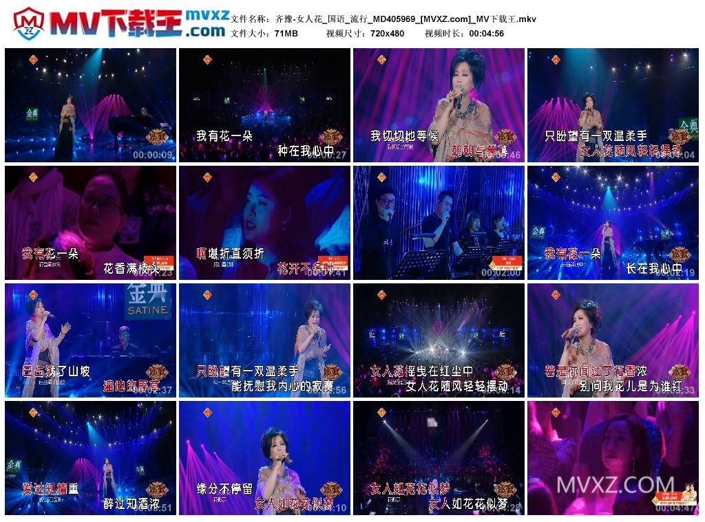 齐豫-女人花_国语_流行_MD405969